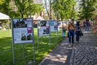 img_06908